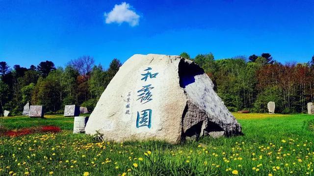 “中美日韩四国高中生毕业去向及职业准备比较研究”显示：中国高中生更想做对社会有贡献的工作